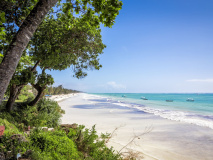 Diani beach