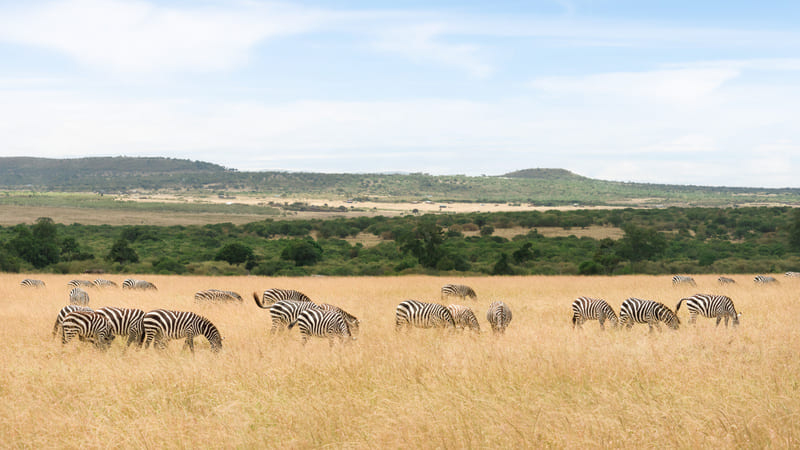 parc-du-masai-mara