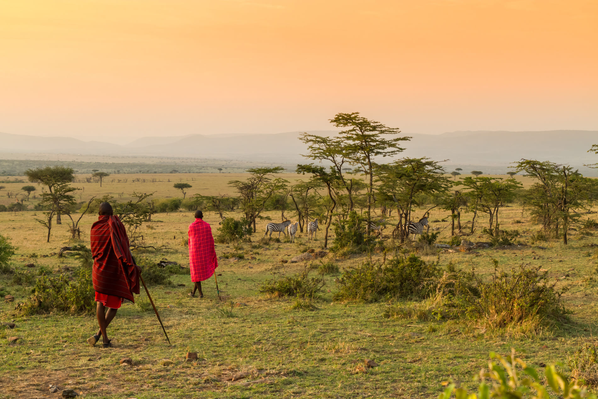 Maasais in kenya