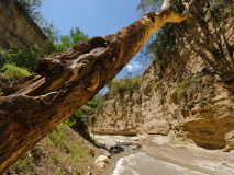 Rift Valley