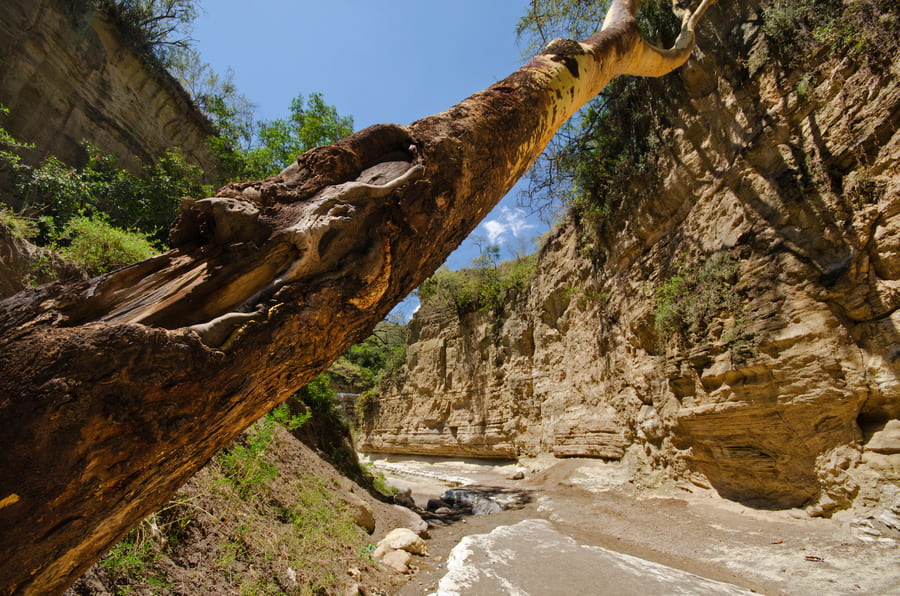 Rift Valley