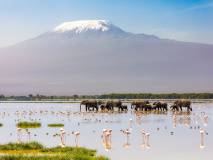 Mont Kilimanjaro