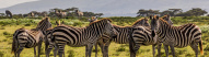Naivasha lake,
