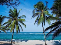 Tiwi beach