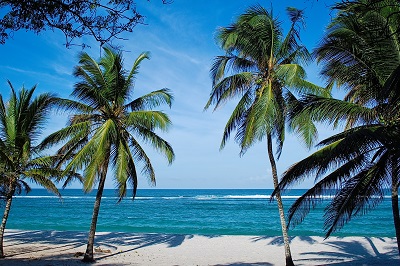 Tiwi beach