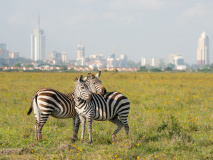 nairobi-kenya