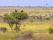 assurance-sante-kenya