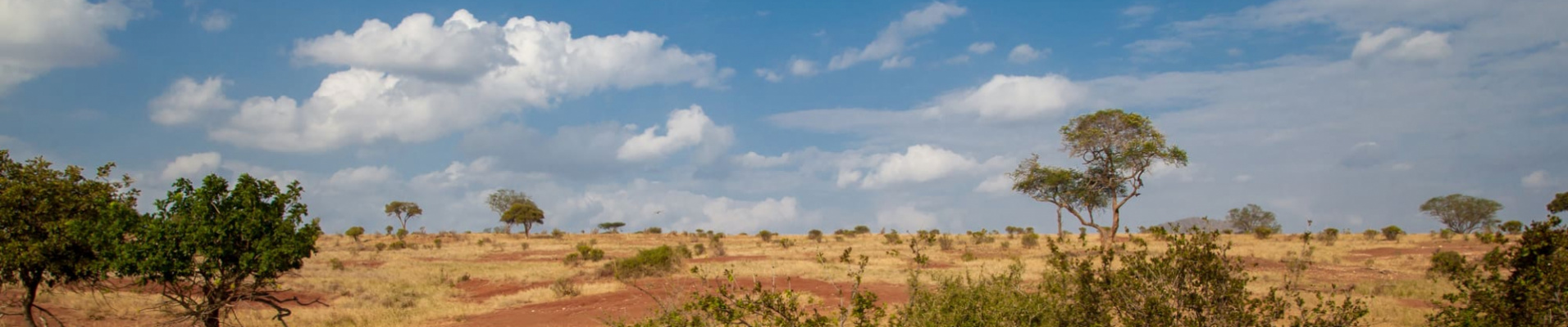 conditions-vente-kenya