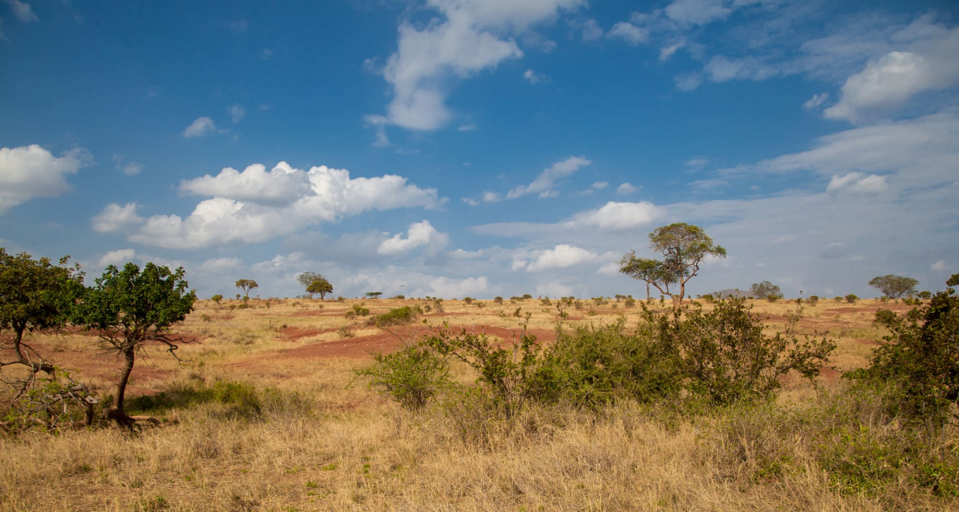 conditions-vente-kenya