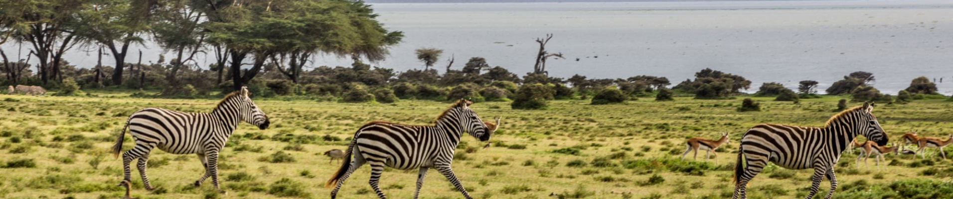 qui-sommes-nous-kenya