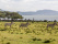 qui-sommes-nous-kenya