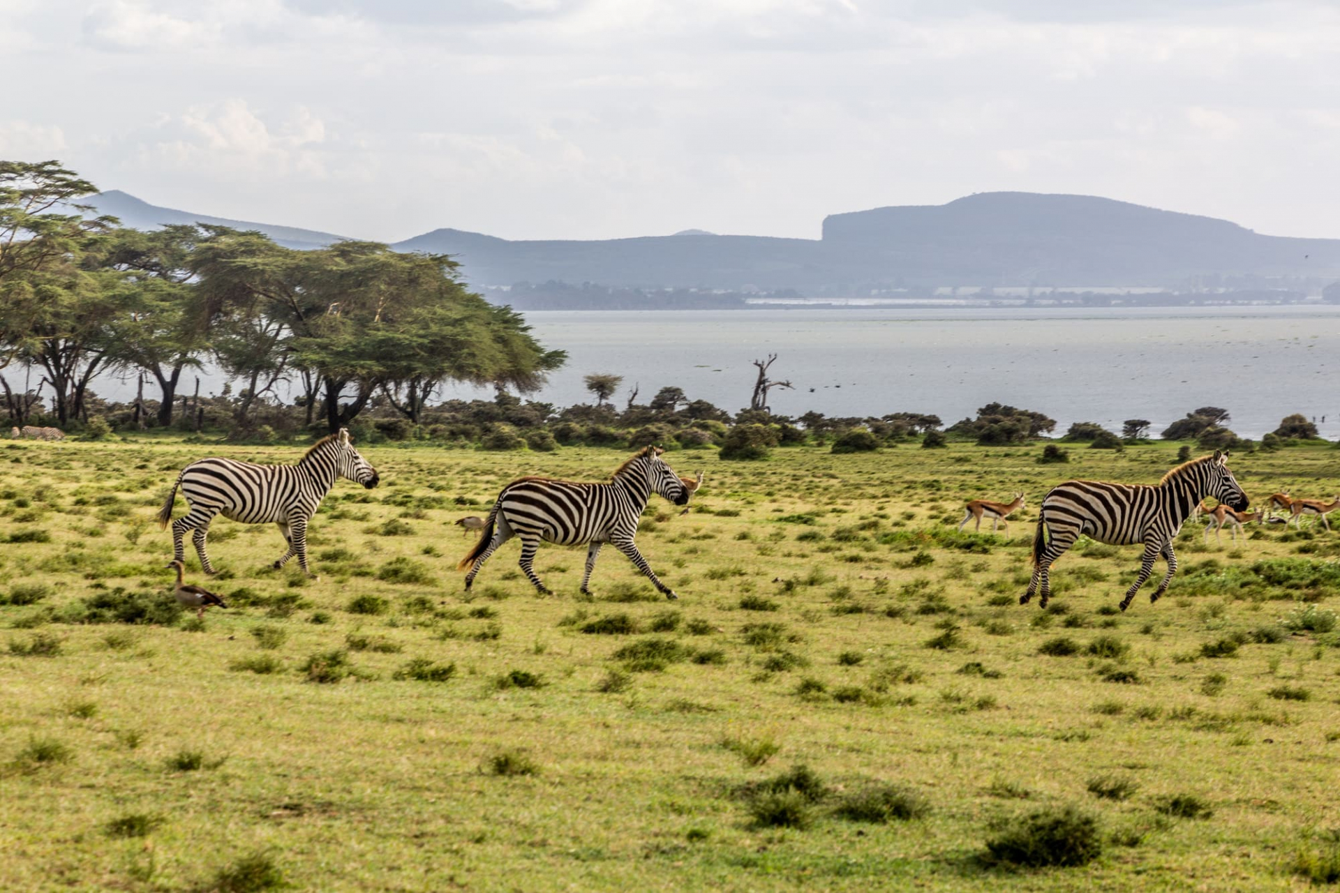 qui-sommes-nous-kenya