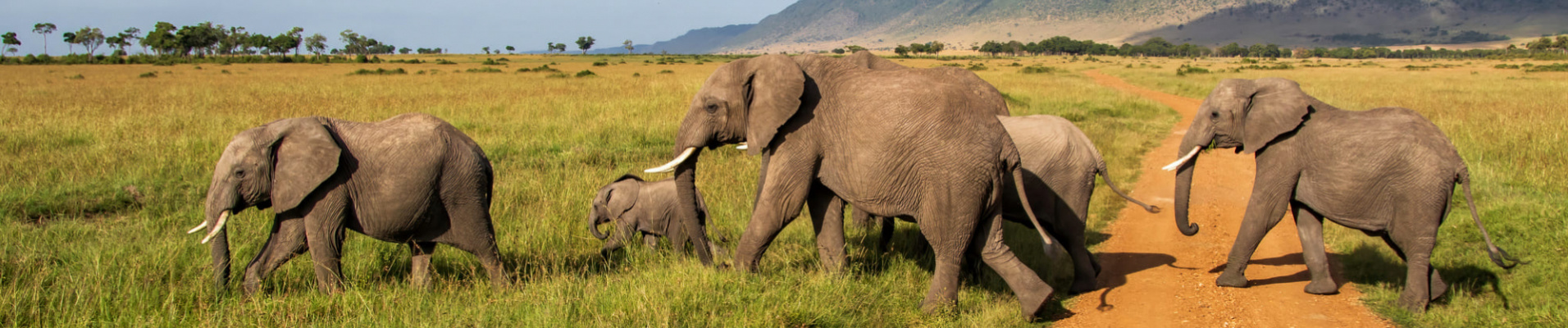 en-famille-au-kenya