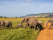en-famille-au-kenya