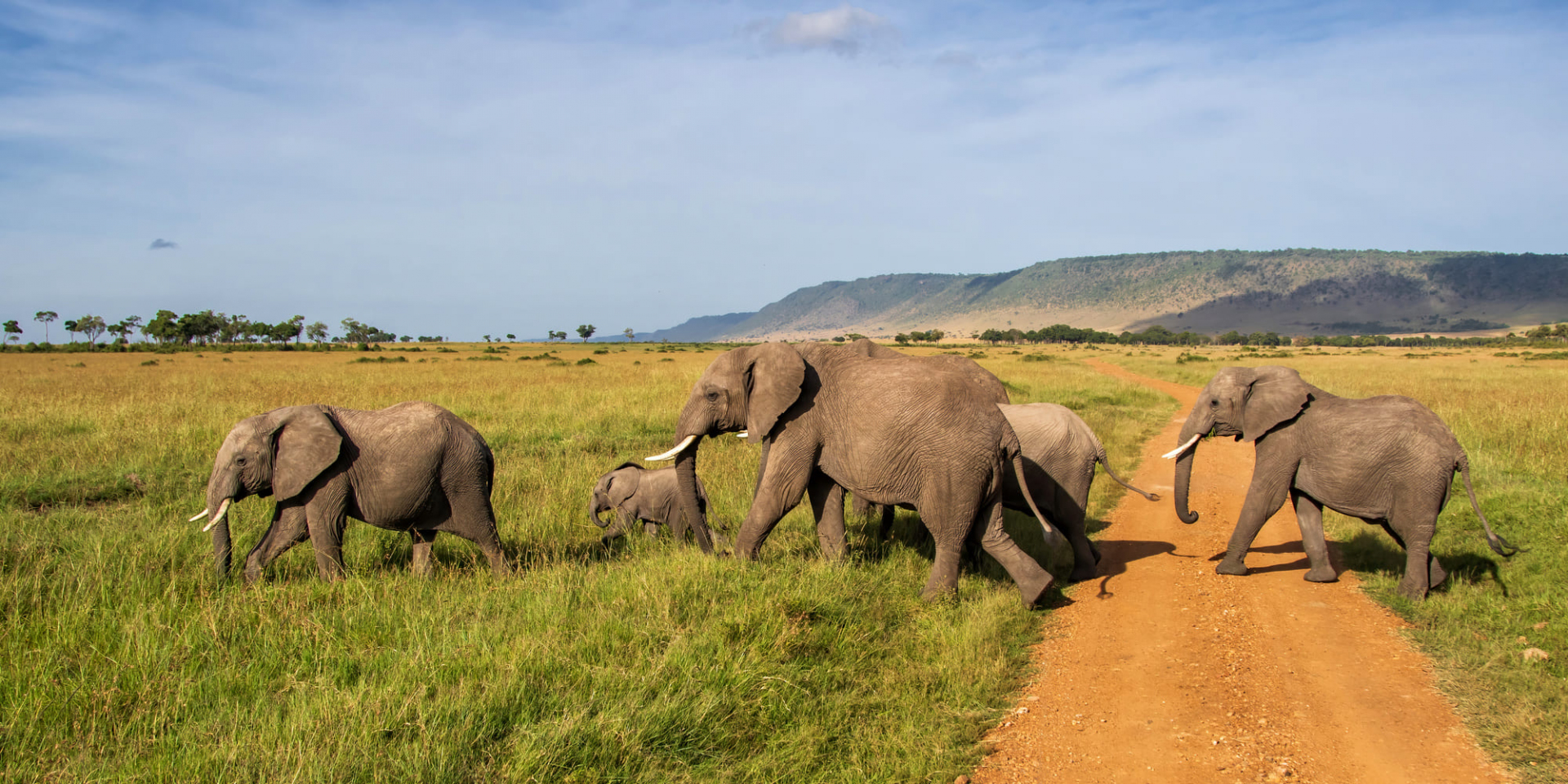 en-famille-au-kenya