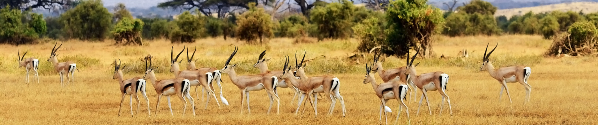 info-pratique-kenya