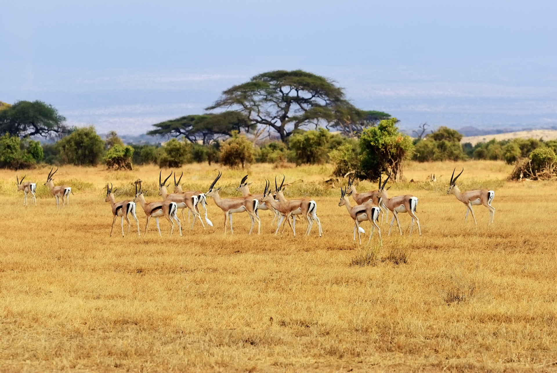 info-pratique-kenya