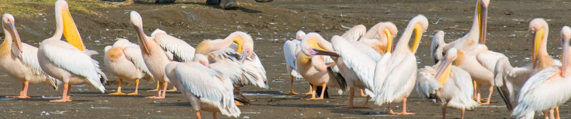 lac-nakuru