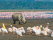 lac-nakuru