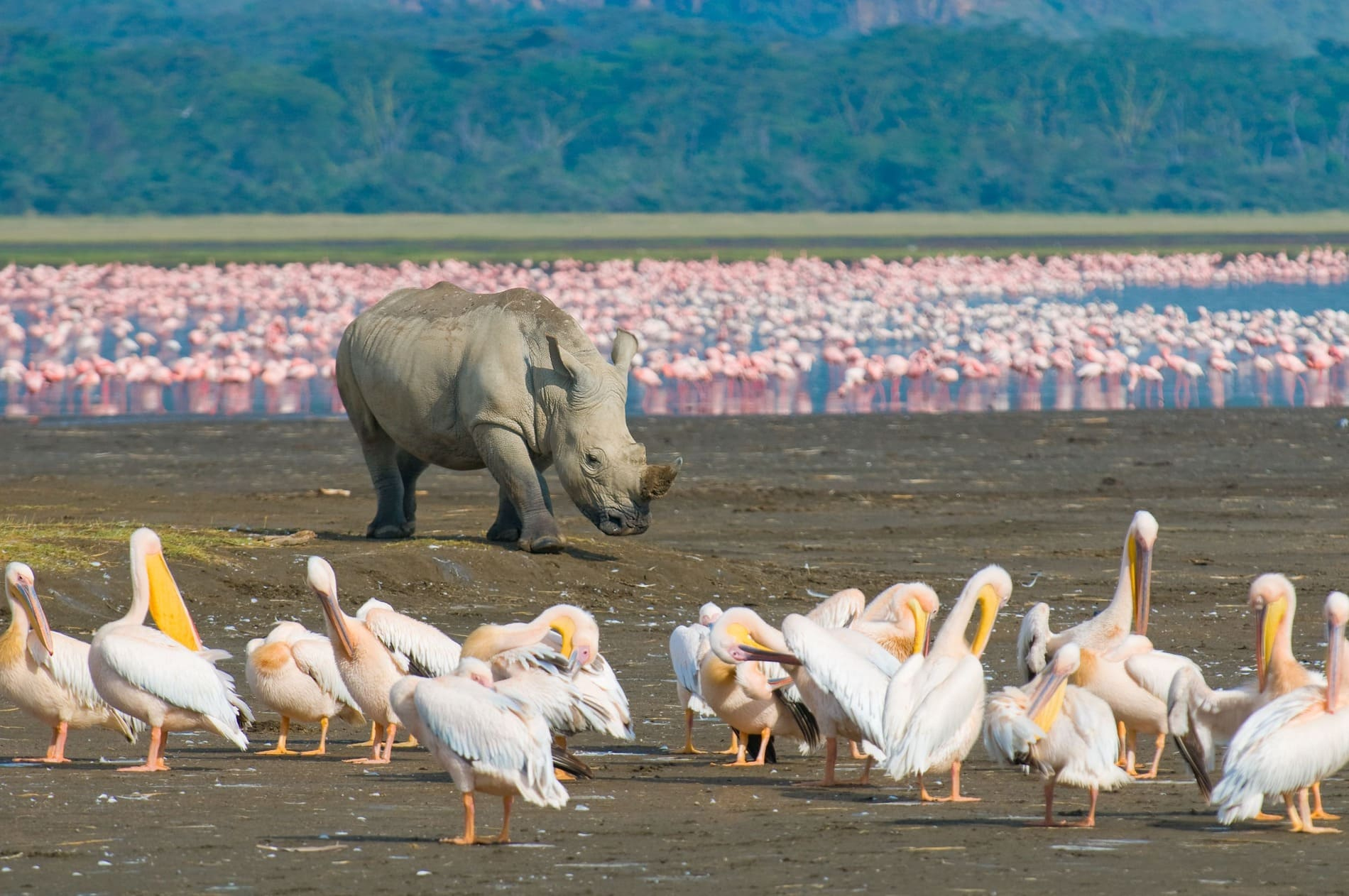 lac-nakuru