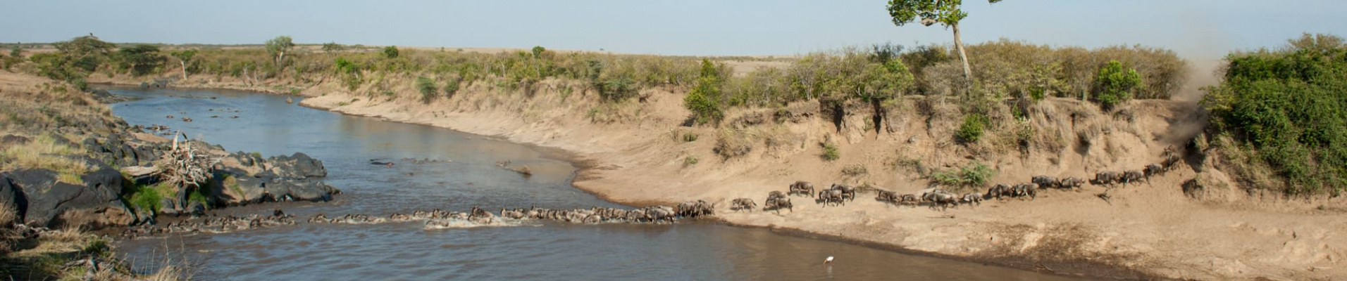 masai-mara-et-louest-kenya