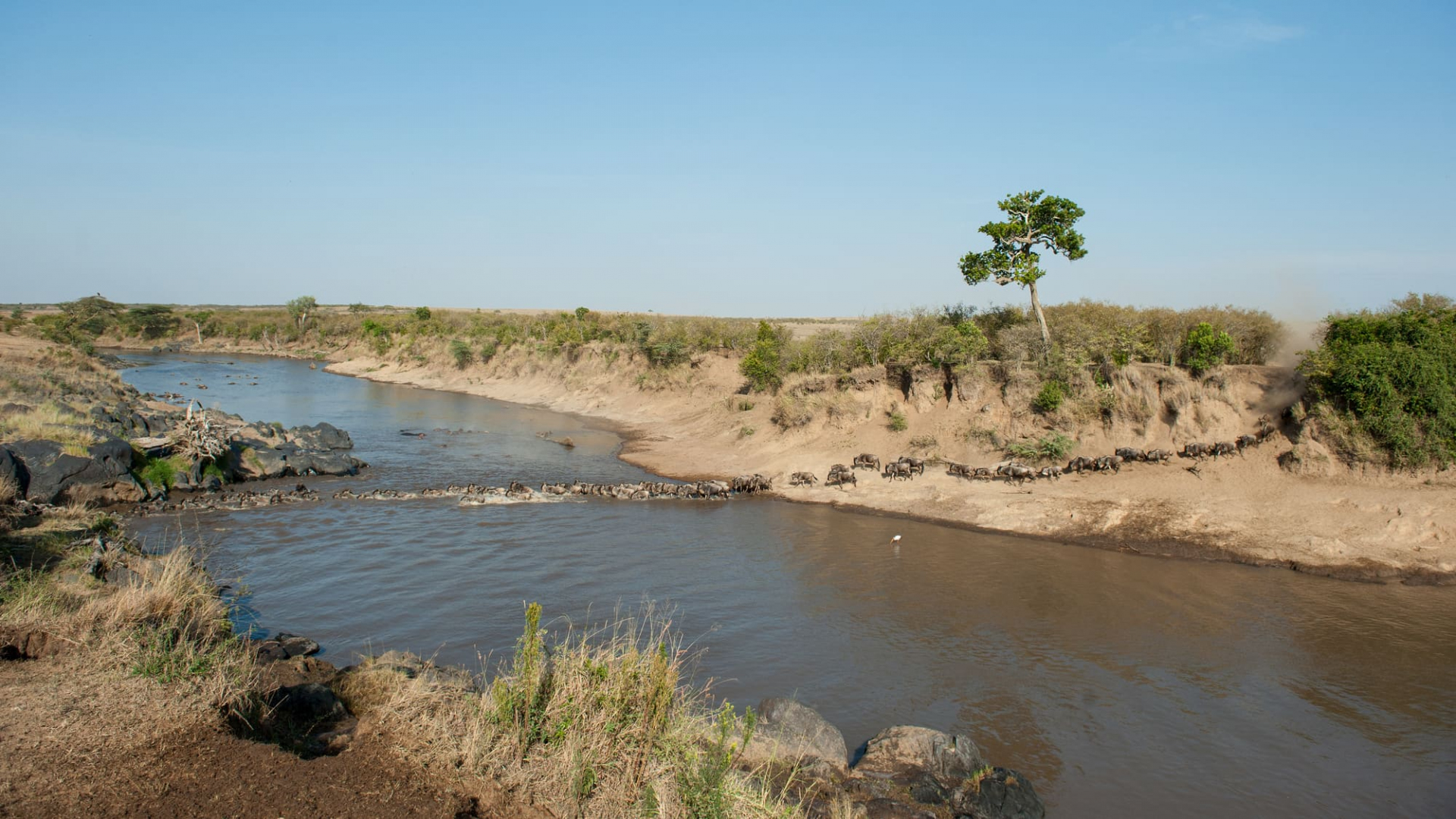 masai-mara-et-louest-kenya