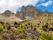 mont-kenya