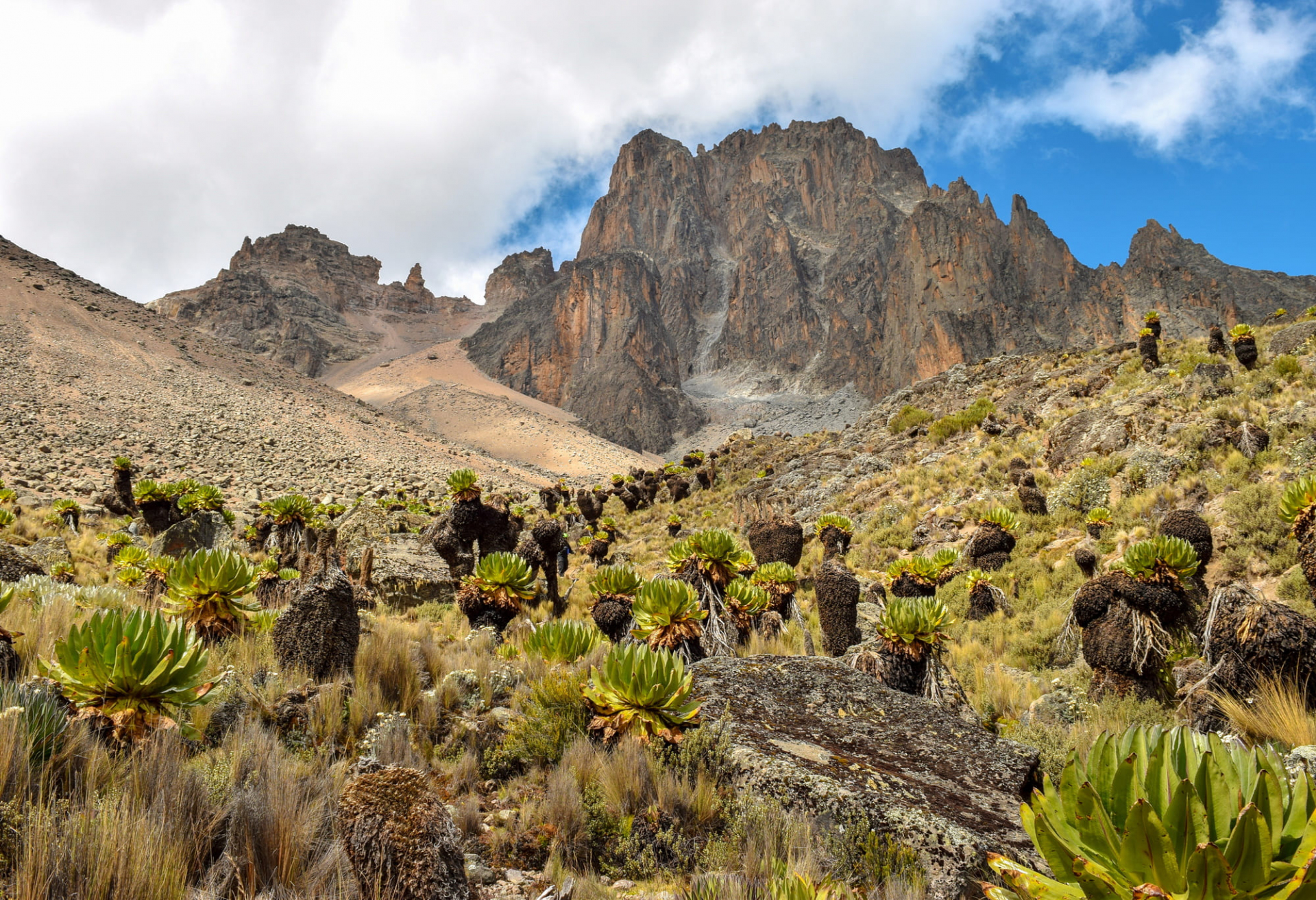 mont-kenya