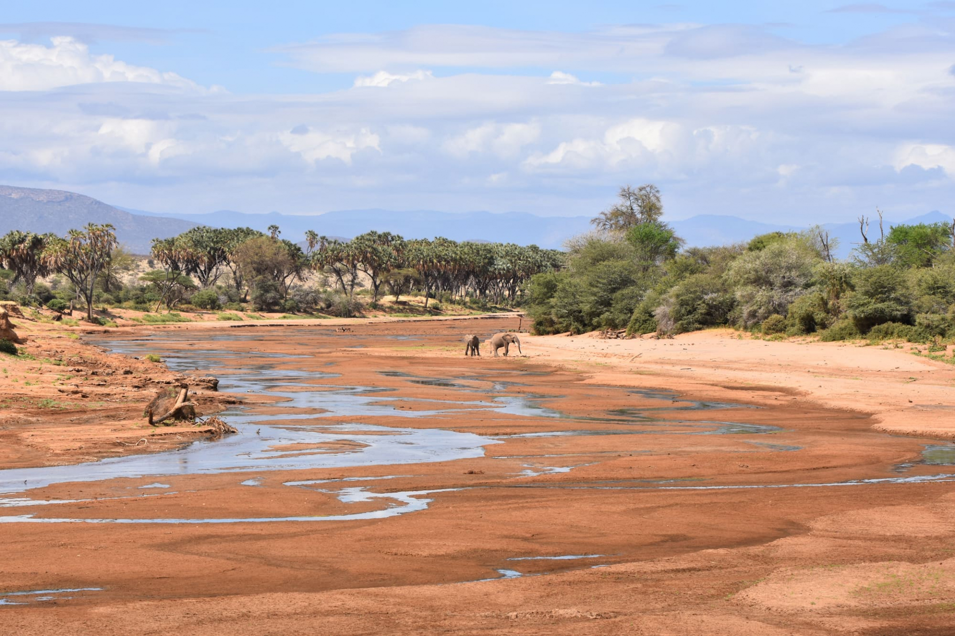 region-samburu