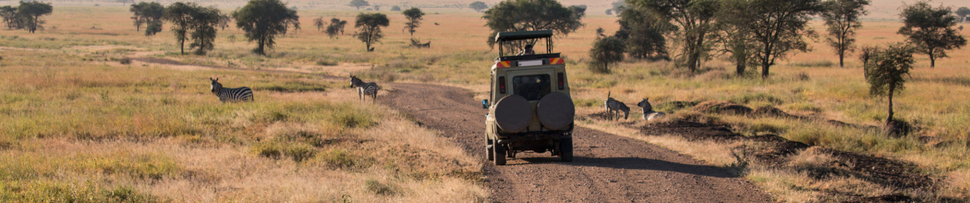 safari-kenya