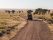 safari-kenya