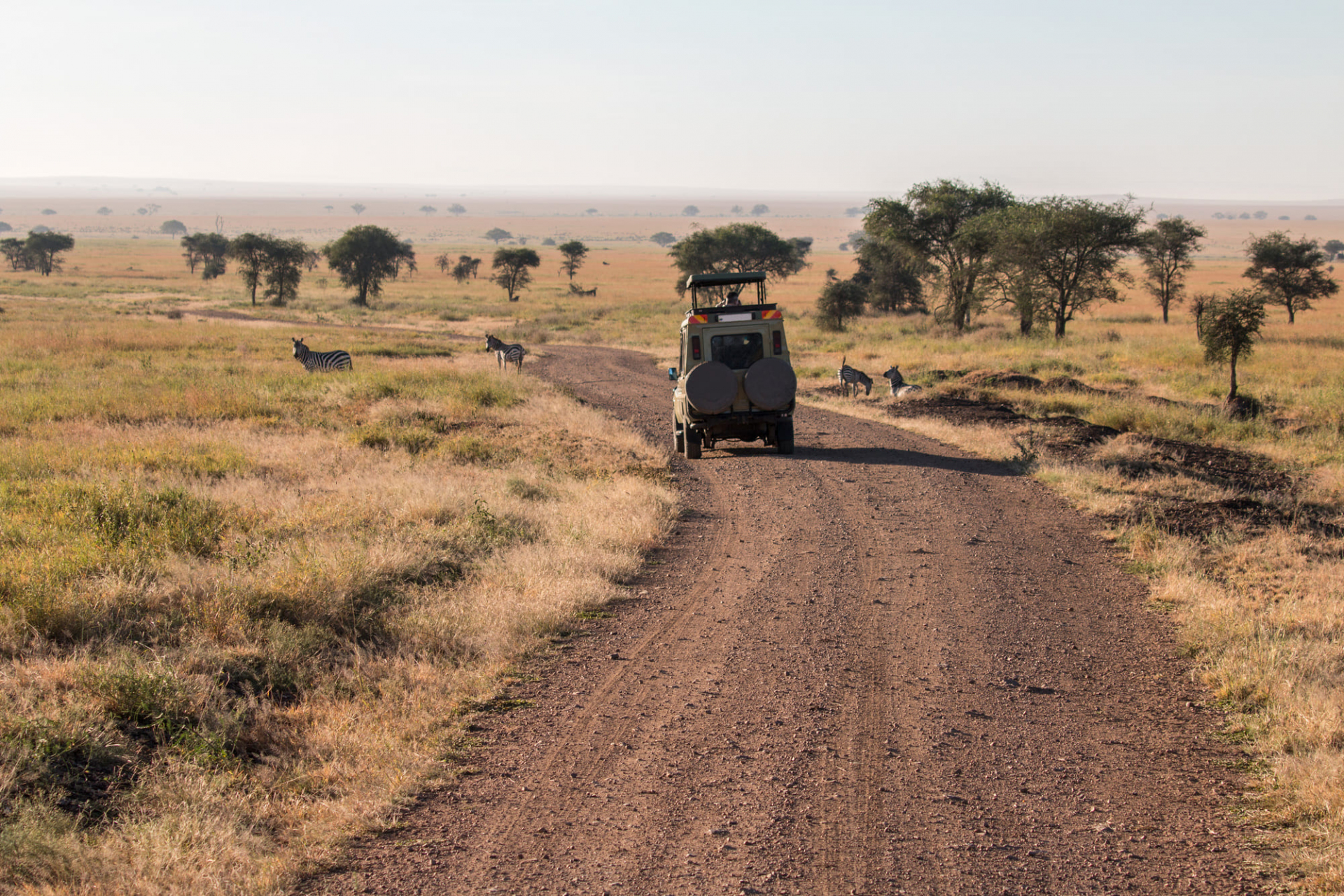 safari-kenya