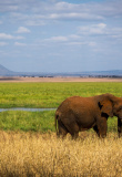 Tarangire National Park