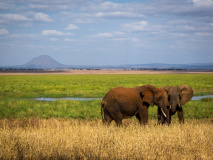 Tarangire National Park