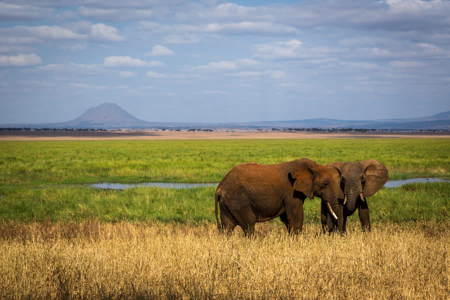 Tarangire National Park