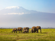 Amboseli National Park