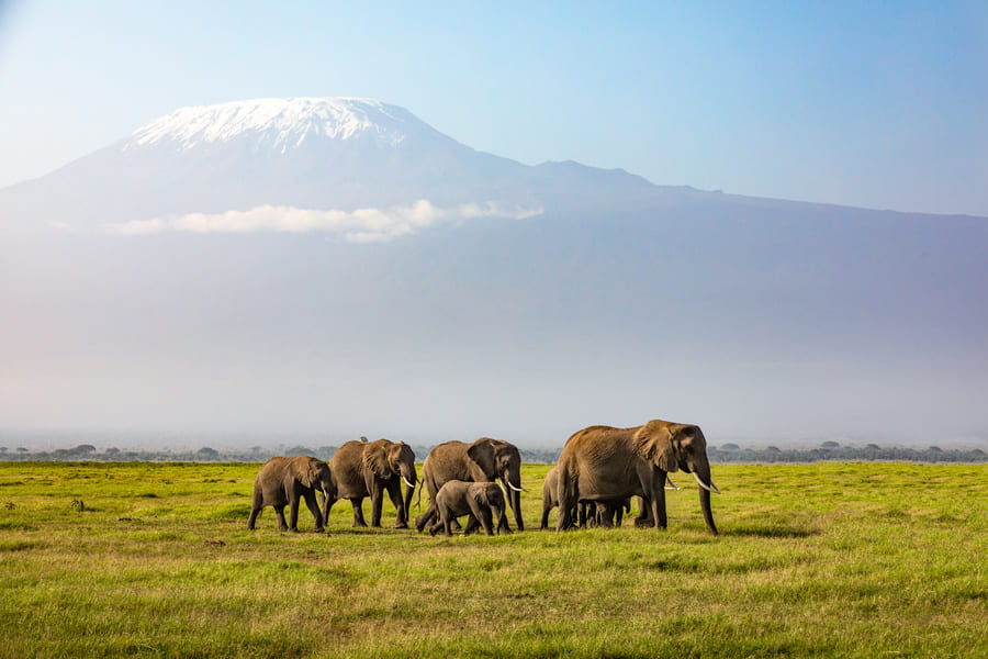 Amboseli National Park