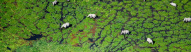 elephant-amboseli