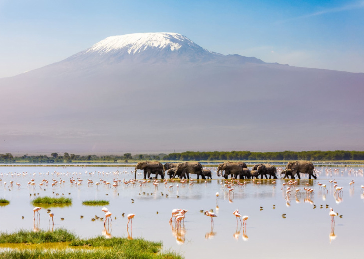 kilimanjaro-amboseli-kenya