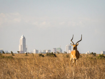 Nairobi