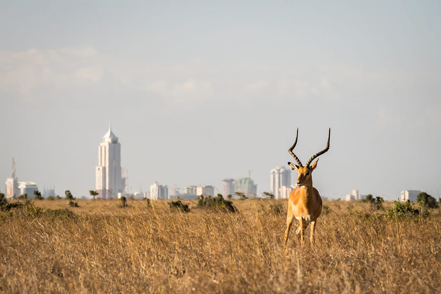 Nairobi
