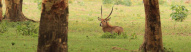 nature-kenya