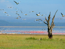 Paysage Kenya