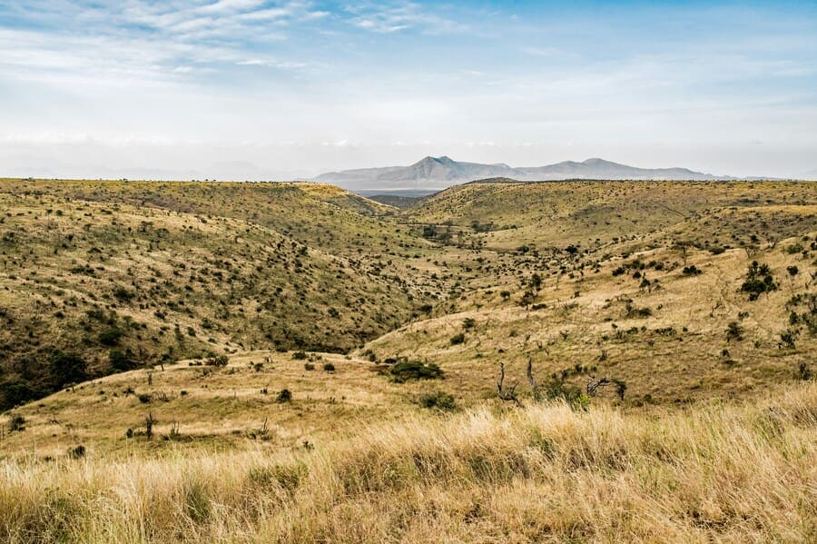 Paysage Kenya