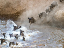 Rivière mara